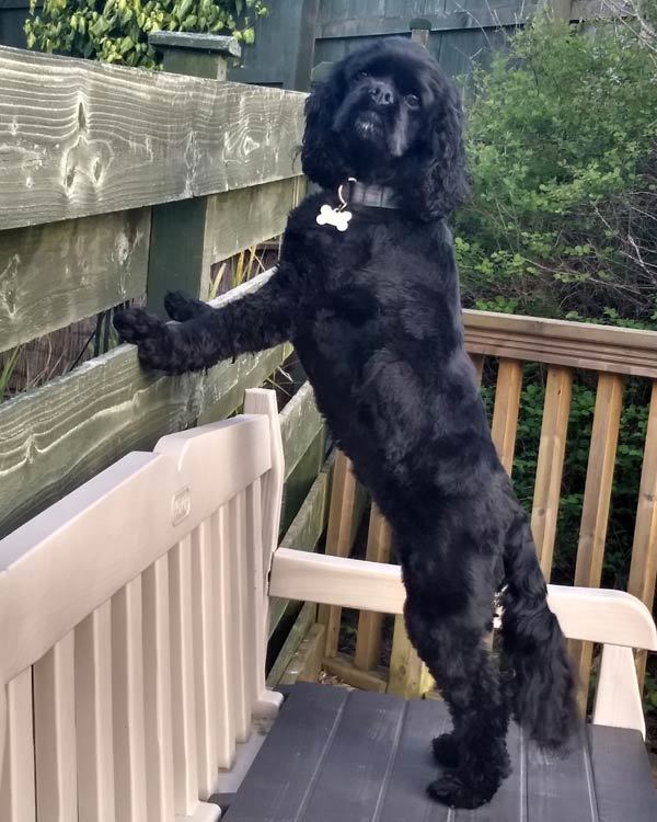 Brianna on Bench